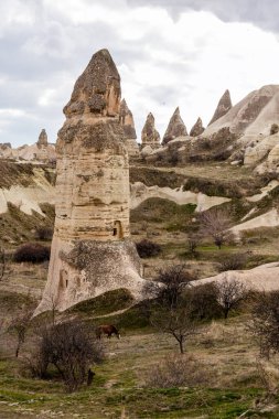 View of the caves of Cappadocia. Stone houses in Cappadocia.The horse stands near the caves in Cappadocia.Turkey