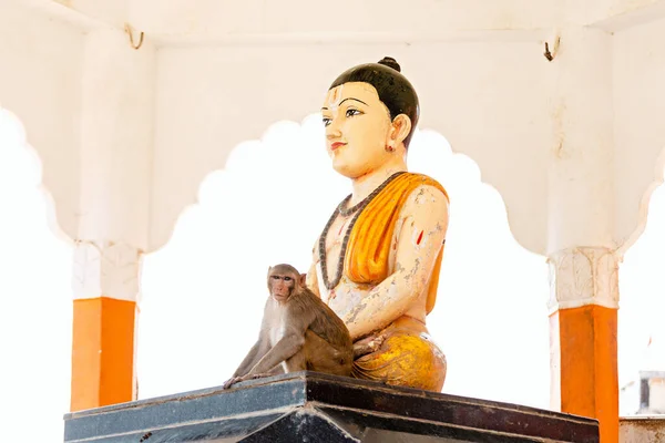 Singe Est Assis Près Statue Chitrakoot Inde — Photo