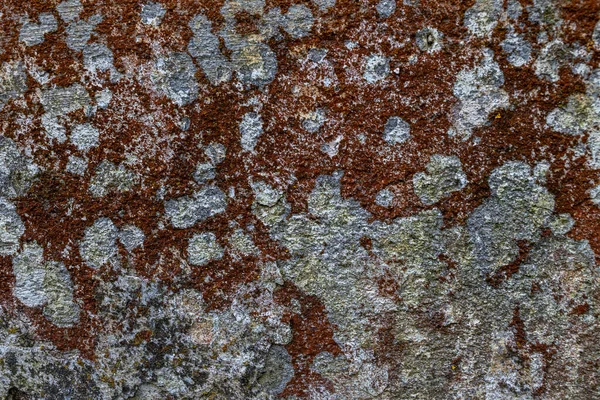 Een Fragment Van Een Ruwe Bruine Muur Textuur Achtergrond Muur — Stockfoto