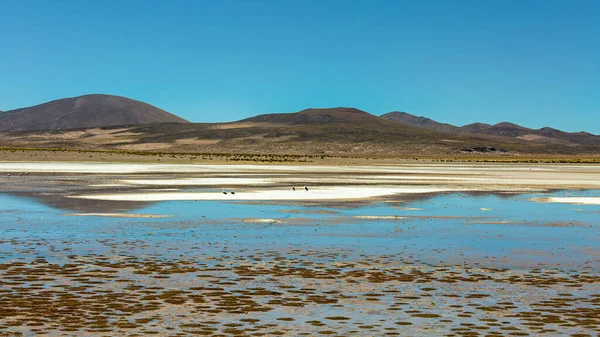 Пейзаж Болівії Чудовий Вид Блакитну Лагуну Гори Болівії — стокове фото