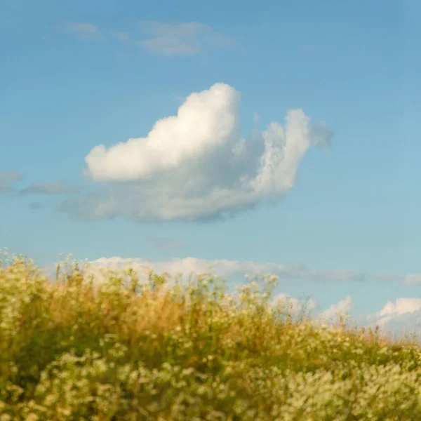 Paisagem Verão Nuvem Campo Ucrânia Foco Suave — Fotografia de Stock