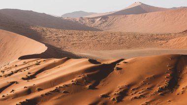 Çöl manzarası, Sossusvlei, Namibya 'nın kumulları.