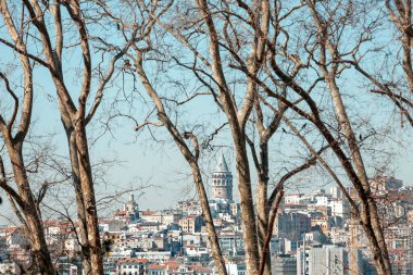 İstanbul şehri manzaralı. Hindi. Ön planda çıplak ağaçlar