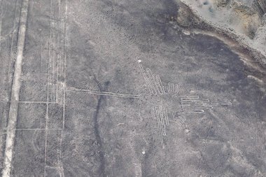Akbaba geoglifinin havadan görünüşü, Nazca Hattı, Peru 'nun Nazca Çölü, Peru