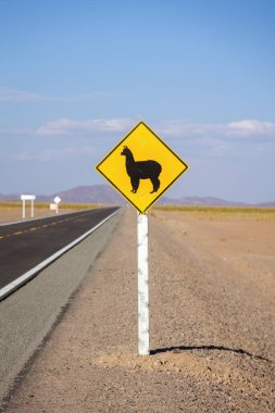 Lama ve Alpaca, Bolivya 'da uzak bir otoyolda yol tabelasında. Sarı işaret: Çöldeki vahşi bir hayvanın dikkati.
