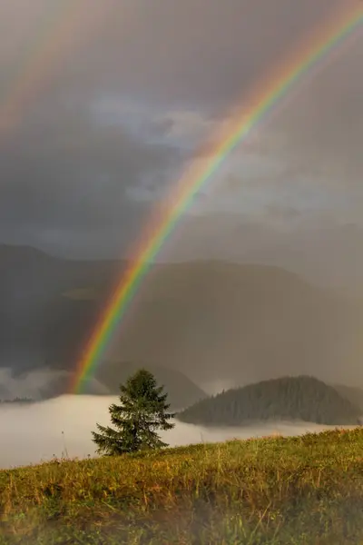 Nature of Ukraine. Rainbow in the Carpathian mountains. Ukraine
