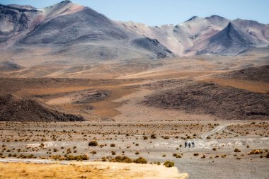 Hedionda Gölü yakınlarındaki And Dağları, Bolivya. Altiplano Uyuni