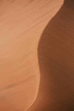 Kum dokusu. Kum tepeciklerindeki ayak izleri. Namibya