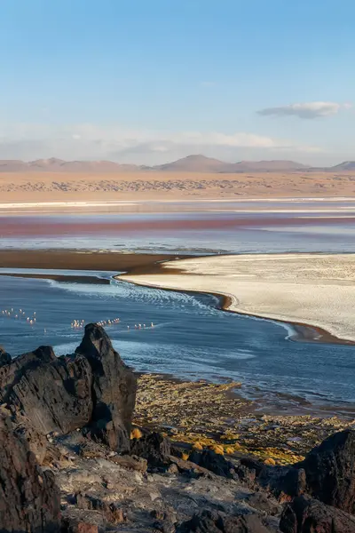 Colorado Lagunen Eduardo Avaroa National Reserve Uyuni Bolivia Stockbild