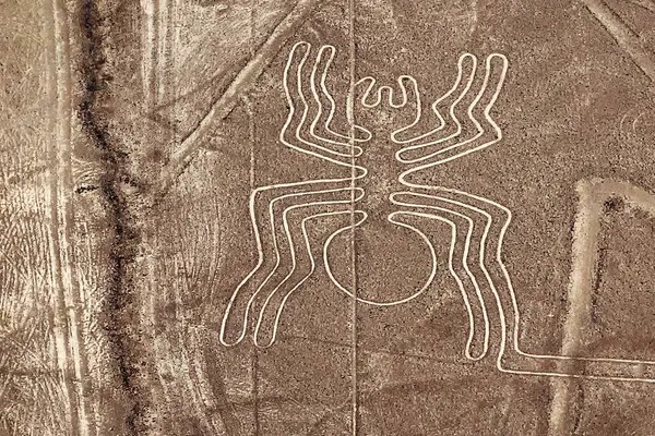 Nazca Çölü 'ndeki örümcek figürü geoglifler. Nazca hatları, Peru, Güney Amerika. Yukarıdan görüntüle