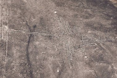 Nazca Çölü 'ndeki dev sinekkuşu geoglifleri. Nazca Hattı. Peru. Güney Amerika