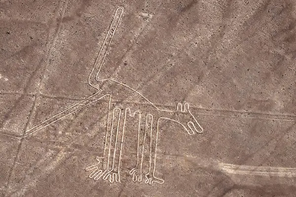Nazca çölünde bir köpeğin dev geoglifleri. Nazca Hattı. Peru. Güney Amerika