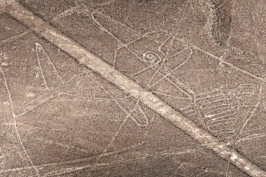 Nazca çölündeki dev balina geoglifleri. Nazca Hattı. Peru. Güney Amerika