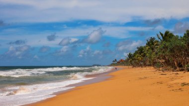 Sri Lanka 'nın güzel deniz manzarası. Indurwa Sahili