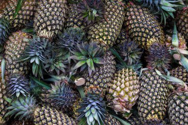Piyasada bir yığın ananas. Ananas arkaplanı