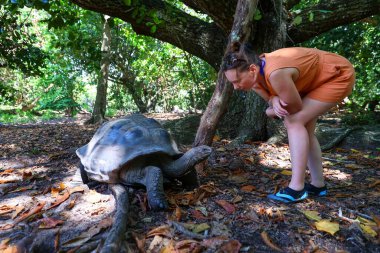 Aldabra dev kaplumbağasını inceleyen bir turist.