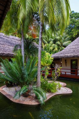 Palmiye ağaçları ve su gövdeleriyle sakin bir tropikal tatil