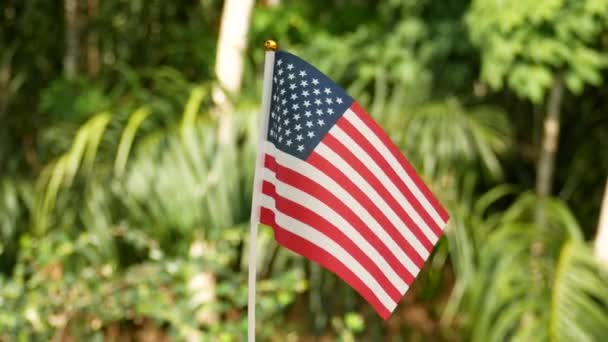 Doğanın Arka Planında Günbatımına Karşı Rüzgarda Dalgalanan Amerikan Bayrağı Temmuz — Stok video