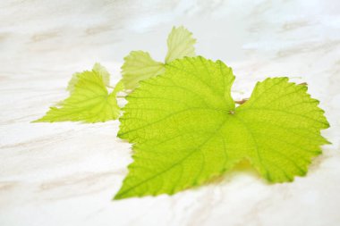 Fotokopi alanı olan beyaz mermer bir arka planda asma çekimi.