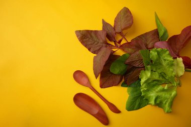 Taze sebzeler, kırmızı ıspanak, yeşiller ve sarı arka planda marul. Dünya Vegan Günü konsepti. Doğal sağlıklı yaşam ve diyet kavramı. Boşluğu kopyala.