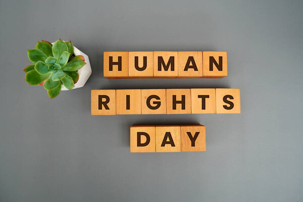 Human Rights Day on wooden cube isolated in gray background.