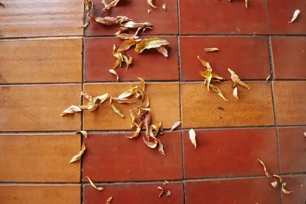 干枯的落叶整齐地落在砖地板上 — 图库照片