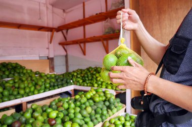 Malang 'daki yerel gıda pazarından taze organik yeşil avokadolar alan bir adam. Avokado arkaplanı.