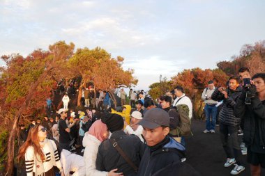 Batı Java, Endonezya, 26 Aralık 2023: Bromo Dağı 'nda coşkulu turistler. Bromo Tengger 'deki Penanjakan Dağı Semeru Ulusal Parkı, Doğu Java, Endonezya.