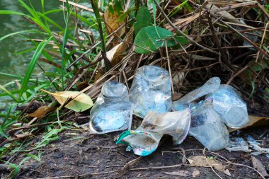 Plastik içecekler nehir kıyısına atılıyor, plastik atıklar ormana atılıyor. Ekoloji kavramı, çevre temizliği, kirli çevre.