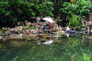 Plastik ve ev atıkları nehrin kıyısına saçıldı. Çevresel temizlik kavramı
