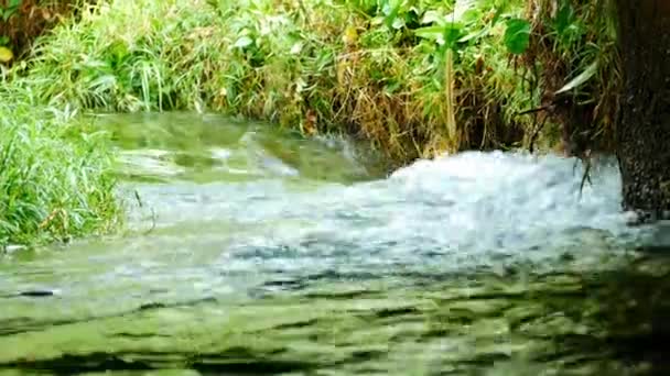 Речная Вода Течет Быстро Пресная Речная Вода Охлаждающим Потоком Пресноводная — стоковое видео