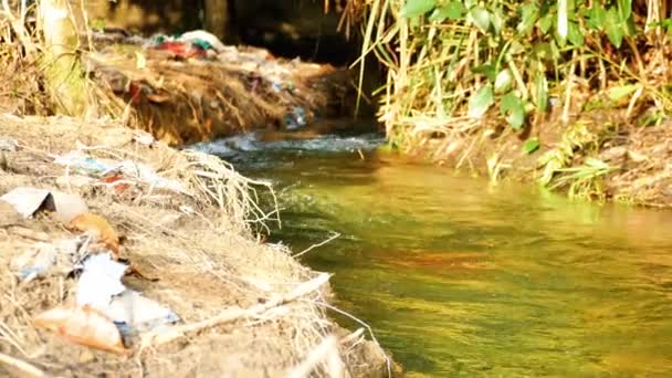 강둑에 쓰레기를 자연에서 쓰레기를 던지는 환경을 — 비디오