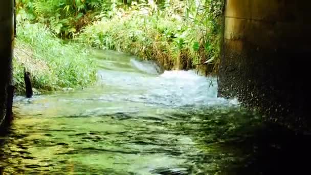 Agua Del Río Fluye Rápido Agua Dulce Del Río Con — Vídeo de stock