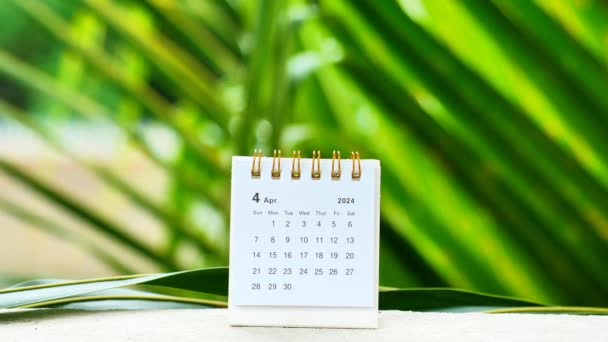 April 2024 Kalender Bordet Med Kokos Blad Bokeh Bakgrund Palm — Stockvideo