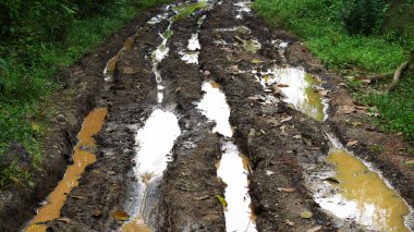Kırsal kesimlerde su ve su birikintileri olan çamurlu tekdüze ormanlarda yol