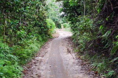 Issız kırsal orman yolları gizemlerle dolu.