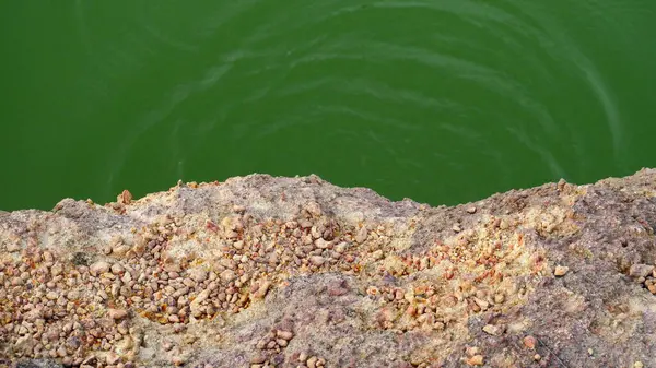 绿色水池 边缘有砾石 — 图库照片