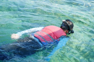 A man wearing a snorkeling mask and life vest swims in clear sea water. people snorkeling in the sea clipart