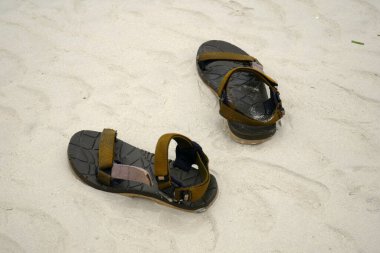 Kuma bir çift parmak arası terlik.