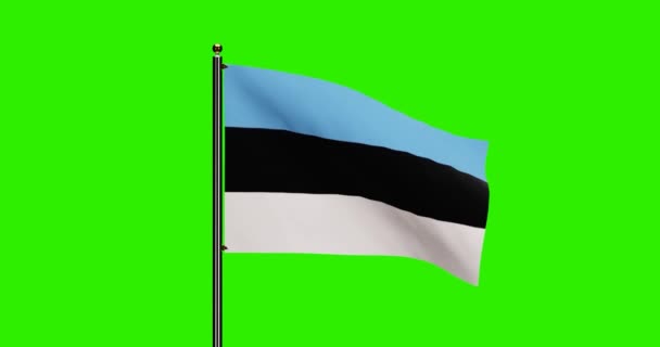 Rendering Estland National Flag Waving Animation Mit Realistischer Windbewegung Nationalflagge — Stockvideo
