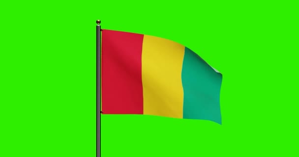 Renderowana Gwinea National Flag Waving Animation Realistic Wind Motion Flaga — Wideo stockowe