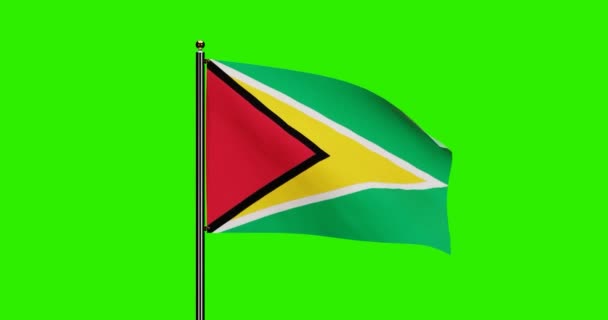 Animation Ondulation Drapeau National Guyana Rendu Avec Mouvement Réaliste Vent — Video