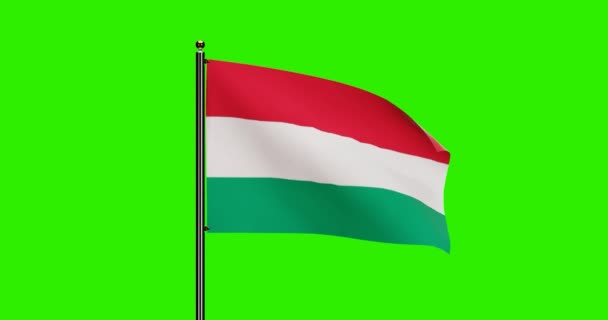 Рендеринг Национальной Анимации Венгрии Реалистичным Движением Ветра Национальный Флаг Венгрии — стоковое видео