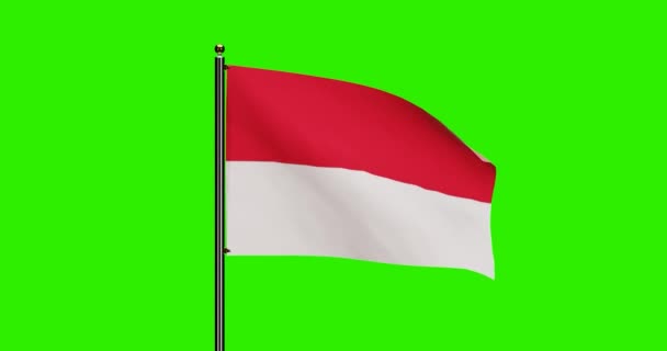 3Dレンダリングインドネシア国旗ウィングアニメーション シームレスループアニメーション付きインドネシア国旗 グリーンスクリーン背景4K解像度 — ストック動画