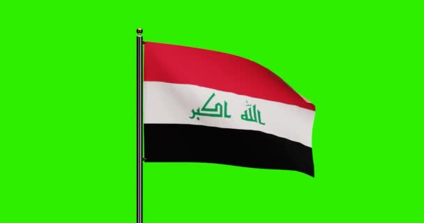 Renderizado Irã Bandeira Nacional Acenando Animação Com Movimento Vento Realista — Vídeo de Stock
