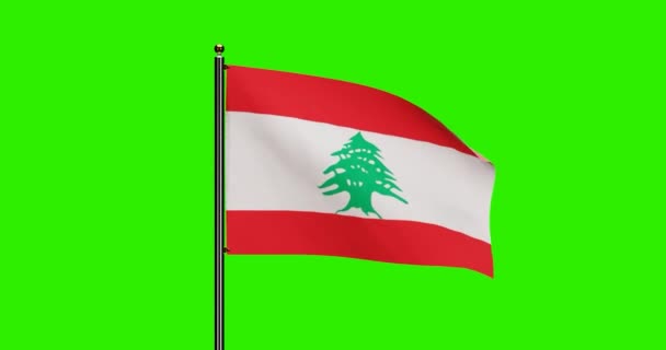 Renderizado Líbano Bandeira Nacional Acenando Animação Com Movimento Vento Realista — Vídeo de Stock