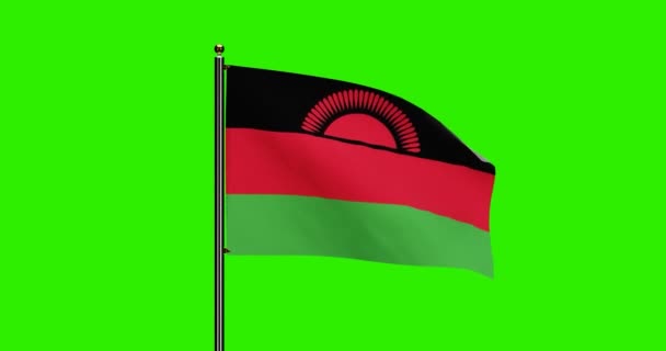 Renderizado Malawi Bandera Nacional Ondeando Animación Con Movimiento Viento Realista — Vídeo de stock