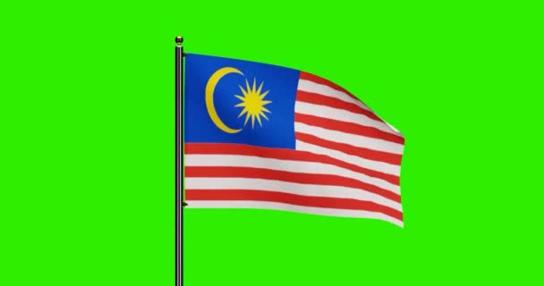 Rendered Malaysia National Flag Waving Animation Med Realistisk Vind Rörelse — Stockvideo