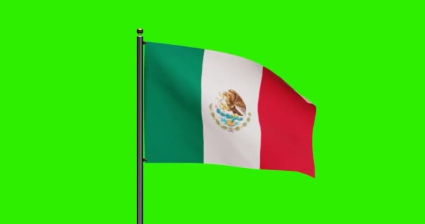 Rendered Mexico National Flag Waving Animation Met Realistische Wind Motion — Stockvideo