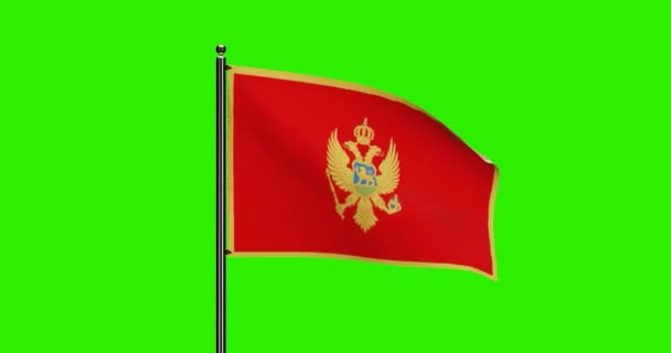 Rendered Montenegro National Flag Viftande Animation Med Realistisk Vind Rörelse — Stockvideo